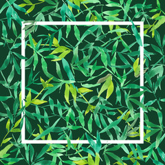green bamboo leaves with white square frame, watercolor plant background  illustration