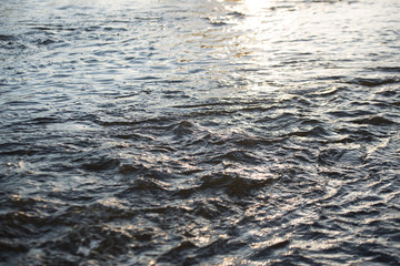 Rough water stream. foamy water rough mountain river