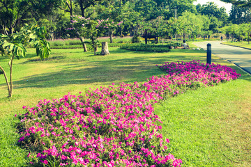 Beautiful green tree, plants, forest and flowers in the outdoor gardens and parks