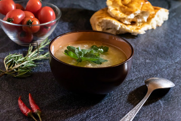 Light soup in chicken broth, with noodles and spices on a dark background. Horizontal orientation