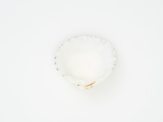 Beautiful patterned shells