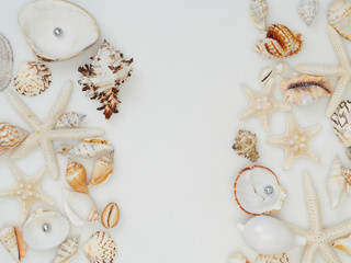 Set of different seashells on white background