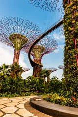 Tuinposter Solar Trees in the Gardens by the bay in Singapore. The Solar trees in the supertree grove were added in June, 2013. The gardens are free to enter.. © Alan Smithers