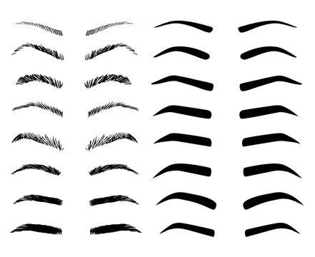 Eyebrow shapes illustration set. Various types of eyebrows.