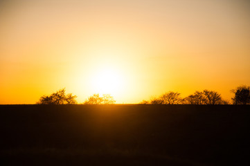 Fototapeta na wymiar Natural sunset sunrise over field or meadow