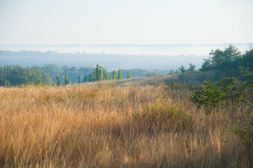 Burnt grass, landscape fire