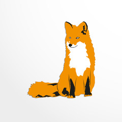 Fox. Color vector illustration on a light background. 