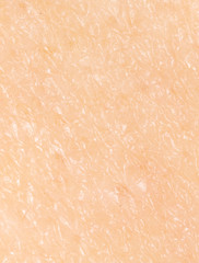 Fototapeta premium Human skin as a background.