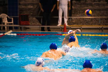 Water polo players