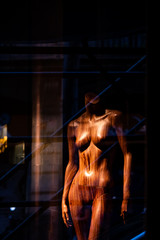Fototapeta na wymiar Mannequin en bois dans une vitrine