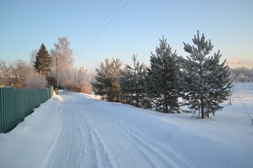 road in winter forest