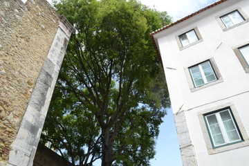 old building in the city