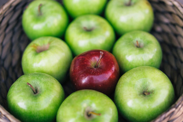Closeup view of a healthy colorful green apples and one red apple in a basket and the tasty benefits of each. Be different