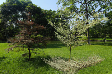 Beautiful green tree, plants, forest and flowers in the outdoor gardens and parks