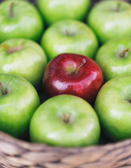 Closeup view of a healthy colorful green apples and one red apple in a basket and the tasty benefits of each. Be different