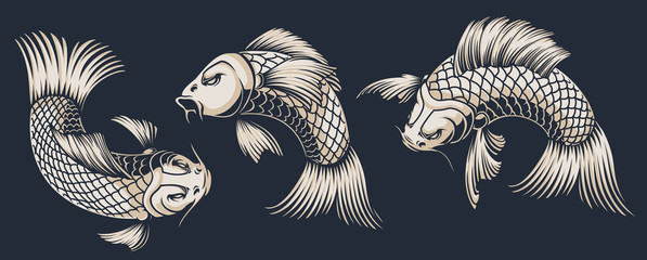 Set of koi carp illustrations