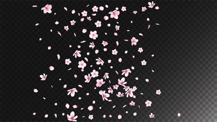 Nice Sakura Blossom Isolated Vector. Summer Falling 3d Petals Wedding Frame. Japanese Style Flowers Illustration. Valentine, Mother's Day Summer Nice Sakura Blossom Isolated on Black