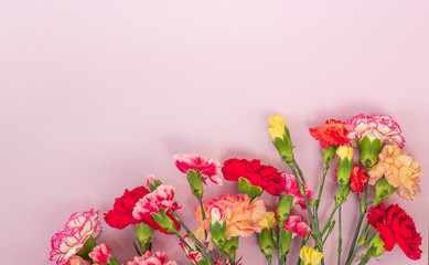 Pink background with carnations flowers and copy space. Top view. Mother's Day background.