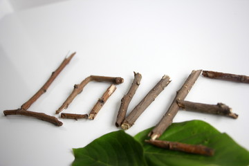 cinnamon sticks and mint leaves