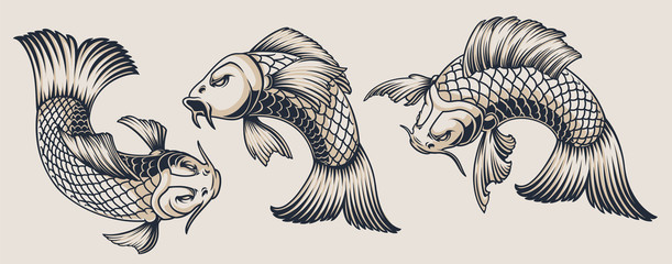 Set of koi carp illustrations