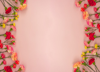 Fototapeta na wymiar Pink background with carnations flowers and copy space. Top view. Mother's Day background.