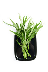 morning glory shabu shabu sukiyaki