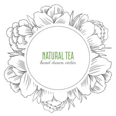 Trollius asiaticus flower, Globeflower or Kupavna, Round frame rose, bouquet vector isolated on white, Ranunculus or Kupavka decorative label line art for package, medicine, wedding invite, cosmetic