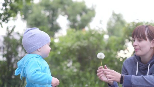 Young woman is playing with her little baby son in the city park in a summer cloudy day by blowing dandelion with trees on the background in 4K close up slow motion video.