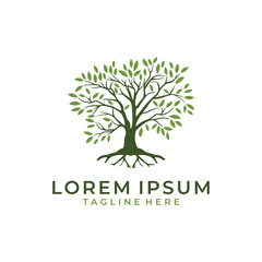 Obraz premium Tree Leaves Root