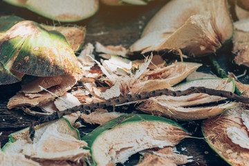 Close up to Coconut peel on the table after being peeled to make coconut juice.