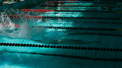 Diving swimmer in the sport pool