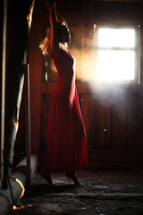 Obraz na płótnie Canvas Silhouette of a beautiful girl in a red dress