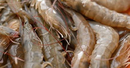 Fresh uncooked shrimp
