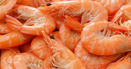 Cooked Fresh shrimp