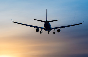 Fototapeta na wymiar Airplane landing to airport in sunset
