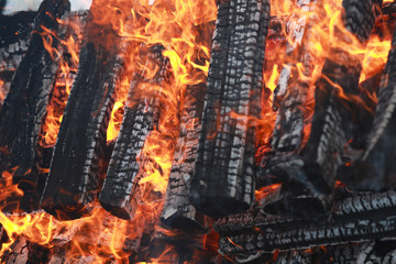 wooden logs burn with a bright flame in the fire