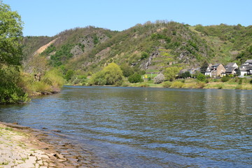 Mosel bei Kobern-Gondorf / Lehmen / Niederfell