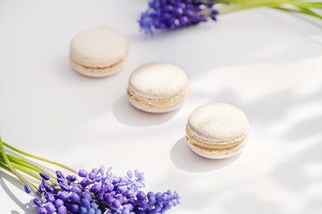 French macaroon cake, flowers on white background