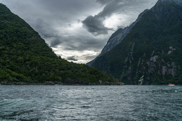 steep coast in the mountains at milford sound, fjordland, new zealand 20