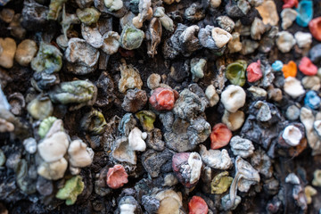 Textured close up of the Bubblegum Alley wall in San Luis Obispo California