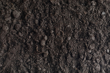 Seeds in the ground. Seed preparation for planting in the spring.