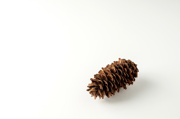 pine cone on white background Christmas decoration