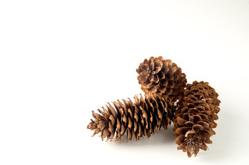 pine cone on white background Christmas decoration