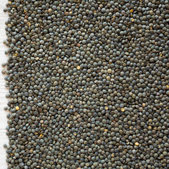 Dry green french lentils on a white wooden surface, overhead view. Top view, from above.