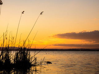 Sunset on the lake in Albufera, Spain