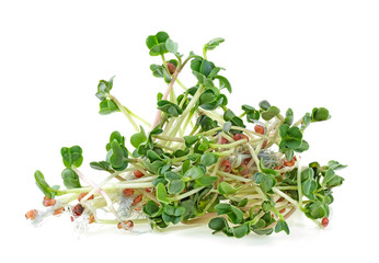 Heap of radish micro greens on white background. Healthy eating concept.