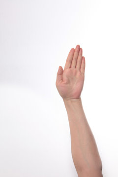 Isolated female hand on white background