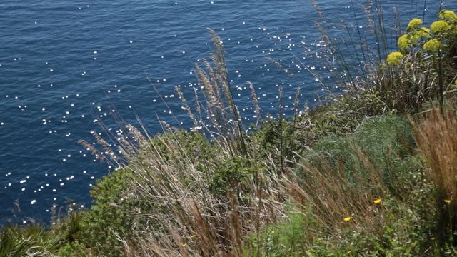 Riserva Naturale 001