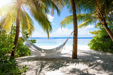 Empty hammock on a tropical beach landscape with palm trees and turquoise sea