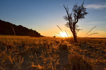 Sonnenuntergang in der Namib Naukluft Wüste in Namibia